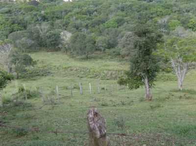  POR ADEMILSON DE JESUS - PIRAJU - SP