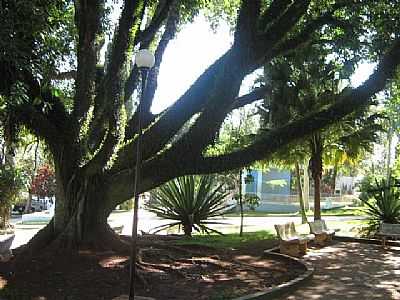 PIRAJU FOTO ZECAGARCIA - PIRAJU - SP