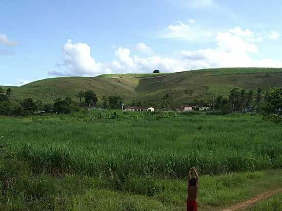 JUNDI-AL-FAZENDA SANTO ANTNIO-FOTO:ADEMAR DEMAS - JUNDI - AL