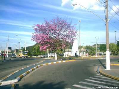 REA CENTRAL PRXIMO A PRAA DE EVENTOS, POR MORADOR - PO - SP