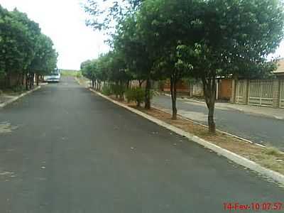 AVENIDA-FOTO:SERGIO CASSIO  - PONTALINDA - SP
