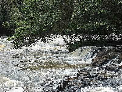 CACHOEIRA S ROBERTO POR ANTONIO DE ANDRADE - PONTES GESTAL - SP