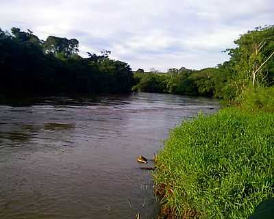 RIO TURVO POR VANDERLEI.NOVAIS - PONTES GESTAL - SP