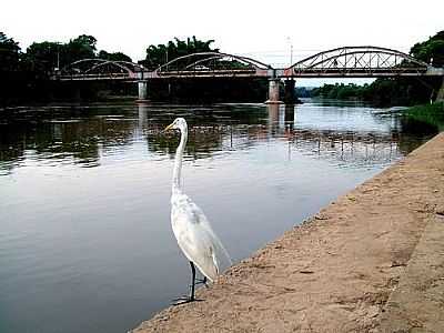 RIO MOGI GUAU POR RETSUMANGA - PORTO FERREIRA - SP