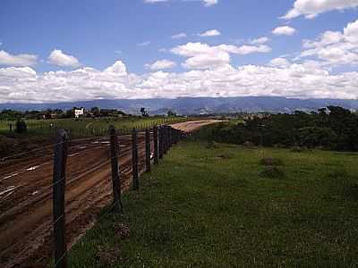 POTIM-FOTO:CARLOS MANIOBA  - POTIM - SP