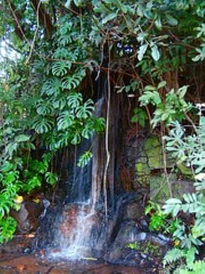 PEQUENA CACHOEIRA NO PARQUE FREI GALVO-FOTO:RUI M.  - POTUNDUVA - SP