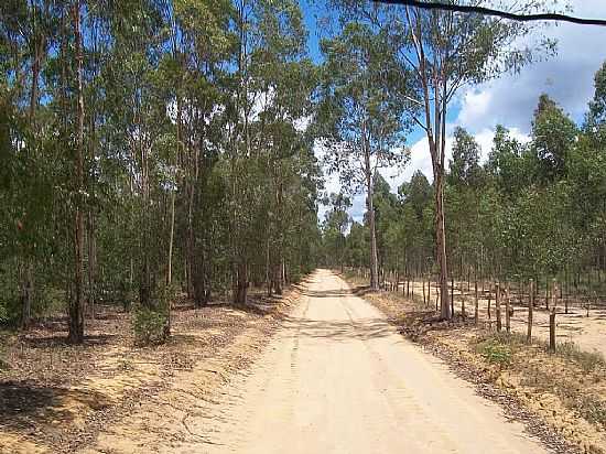 QUARAU-BA-ESTRADA EM QUARAU-FOTO:NANDIMDOACORDEON  - QUARAU - BA