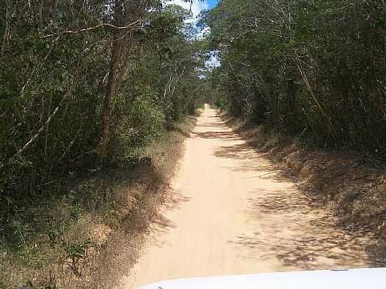 QUARAU-BA-ESTRADA EM QUARAU-FOTO:NANDIMDOACORDEON - QUARAU - BA