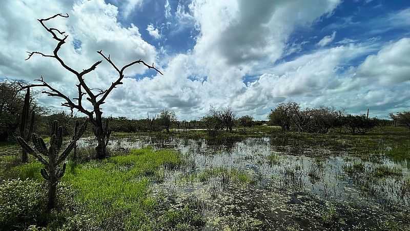 IMAGEM DA CIDADE DE QUEIMADAS-BA - QUEIMADAS - BA