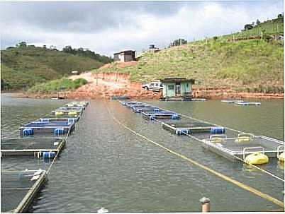 CRIAO DE PEIXE LAGOA AZUL, POR ELISETE - REDENO DA SERRA - SP