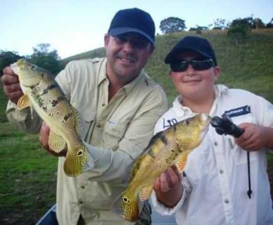 PEIXES DE REDENO DA SERRA, POR HENRIQUE TUAN - REDENO DA SERRA - SP