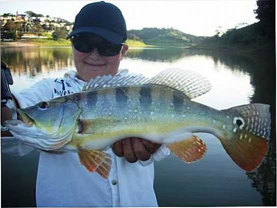 PEIXES DE REDENO DA SERRA, POR HENRIQUE TUAN - REDENO DA SERRA - SP