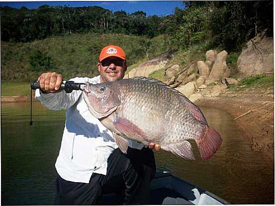 PEIXES DE REDENO DA SERRA, POR HENRIQUE TUAN - REDENO DA SERRA - SP