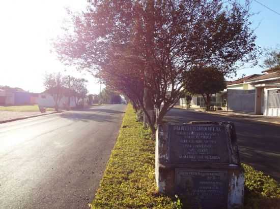 AVENIDA, POR EDNA DOS SANTOS - REGINPOLIS - SP