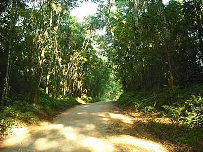 ESTRADA RIO APIAI - RIBEIRO BRANCO - SP