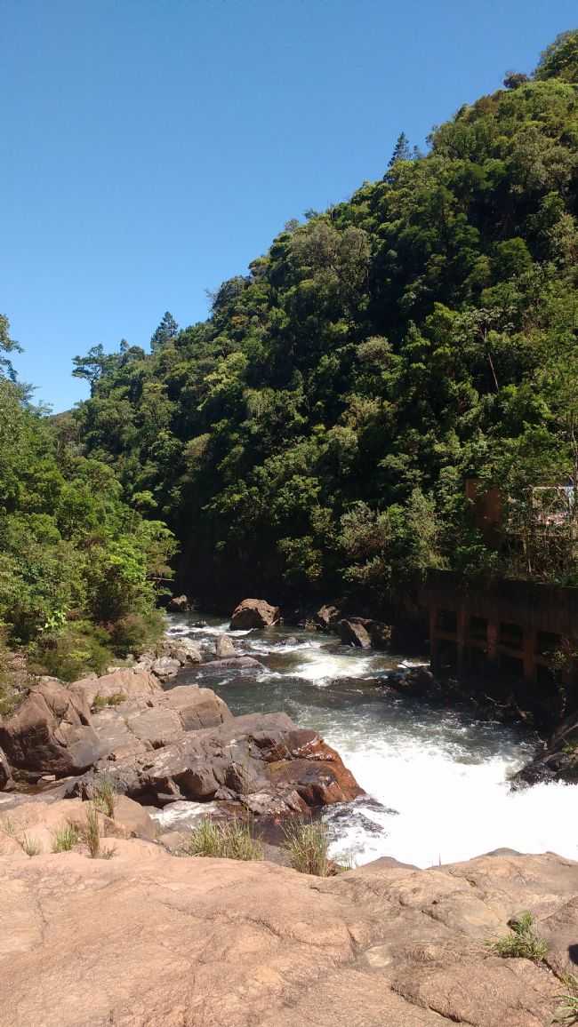 POR MARIA ANTONIA MENDES - RIBEIRO GRANDE - SP