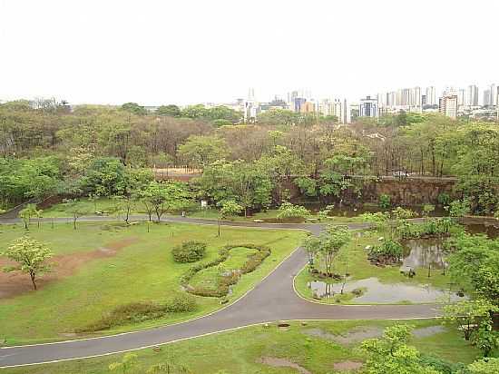 RIBEIRO PRETO-SP-PARQUE CURUPIRA-FOTO:ANTONIO DE ANDRADE - RIBEIRO PRETO - SP