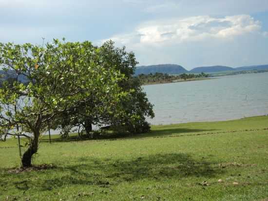 POR REGINA DA SILVA - RIFAINA - SP