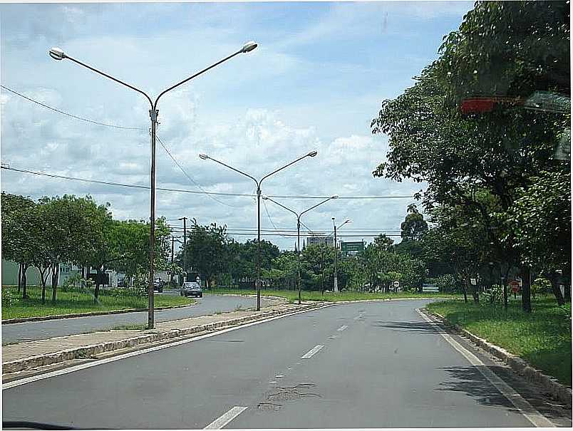 RIO CLARO-SP-AVENIDA CASTELO BRANCO-FOTO:RENATO VIANA ALBARRAL - RIO CLARO - SP