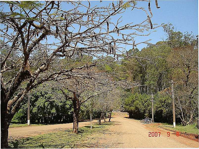 RIO CLARO-SP-CAMINHOS NO HORTO FLORESTAL NAVARRO DE ANDRADE-FOTO:NILSON KABUKI - RIO CLARO - SP
