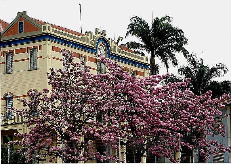 RIO CLARO-SP-JARDIM CLARET-FOTO:ANDR BONACIN - RIO CLARO - SP