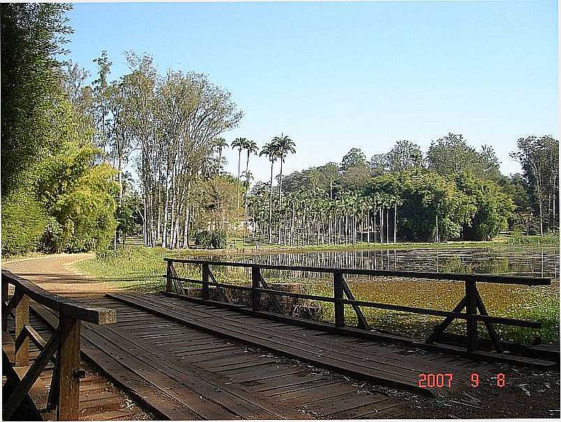 RIO CLARO-SP-PONTE SOBRE O LAGO AZUL NO HORTO FLORESTAL NAVARRO DE ANDRADE-FOTO:NILSON KABUKI - RIO CLARO - SP