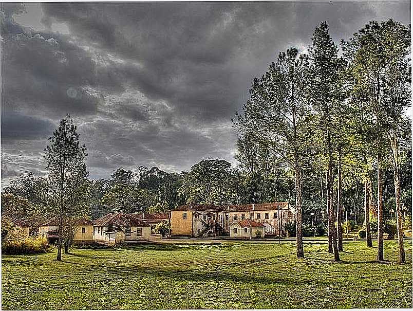 RIO CLARO-SP-VILA NO HORTO FLORESTAL-FOTO:MARCELO CERRI RODINI - RIO CLARO - SP