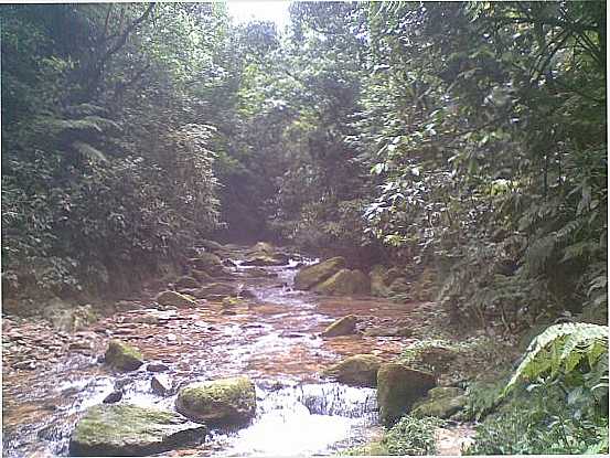 TRILHA DA FUMAA, POR SEVERO - RIO GRANDE DA SERRA - SP