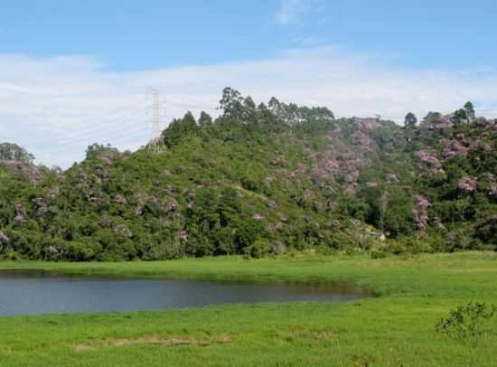 REPRESA BILLINGS, POR SEVERO - RIO GRANDE DA SERRA - SP