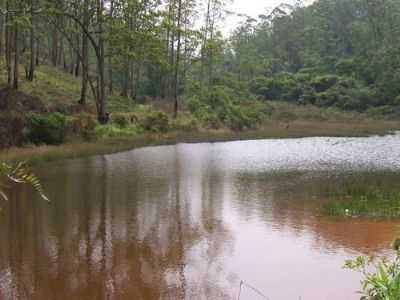LAGOA ESPERA, POR SEVERO - RIO GRANDE DA SERRA - SP