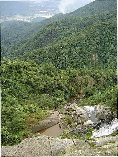 DESCIDA NA SERRA DO MAR, POR SEVERO - RIO GRANDE DA SERRA - SP