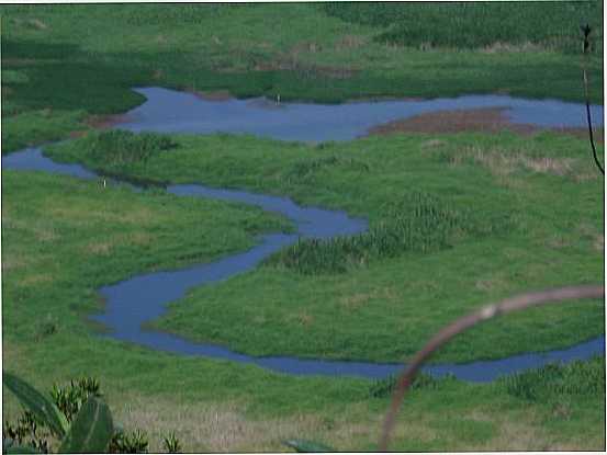 REPRESA, POR MARCOS ANTONIO DA SILVA - RIO GRANDE DA SERRA - SP