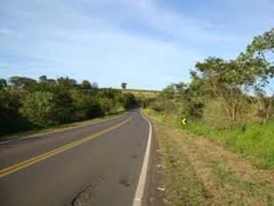 ESTRADA VICINAL-FOTO:UMBERTO MORENO - ROBERTO - SP