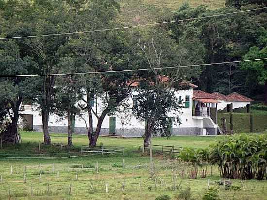 FAZENDA EM ROSEIRA-SP-FOTO:JULIOANDRADE - ROSEIRA - SP