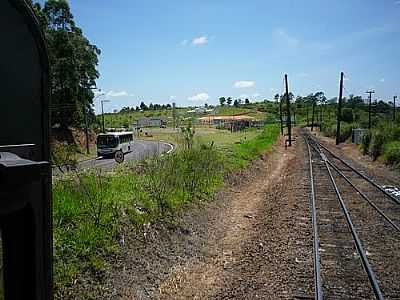 FERROVIA EM RUBIO JUNIOR-FOTO:JORGE LUIZ LUVIZUTTO  - RUBIO JNIOR - SP