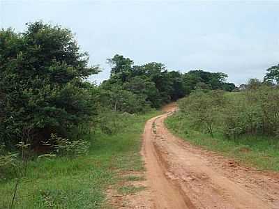 ESTRADA DE TERRA-FOTO:ABRAM.  - RUILNDIA - SP