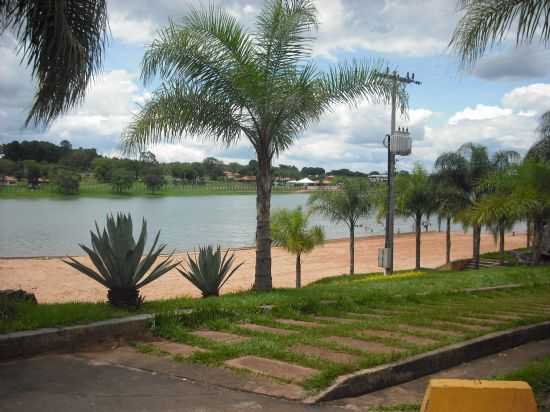 SABINO, POR JOSIANE FERNANDES - SABINO - SP