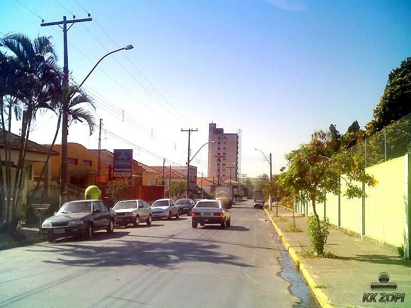 RUA JOAQUIM MENDES PEREIRA SALTINHO SP - FOTO SKYSCRAPERCITY.COM - SALTINHO - SP