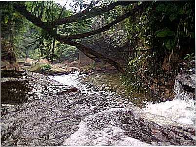 SANTA TEREZA - CACHOEIRA DO SR URBANO POR CLESIO DA CRUS BARBOSA - SALTO DO AVANHANDAVA - SP