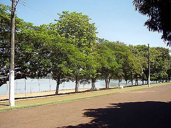 AVENIDA ARBORIZADA EM SALTO GRANDE-SP-FOTO:FABIO VASCONCELOS - SALTO GRANDE - SP