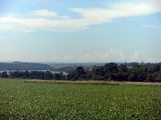 LAVOURA E VISTA DA REGIO DE SALTO GRANDE-SP-FOTO:GLAURE - SALTO GRANDE - SP