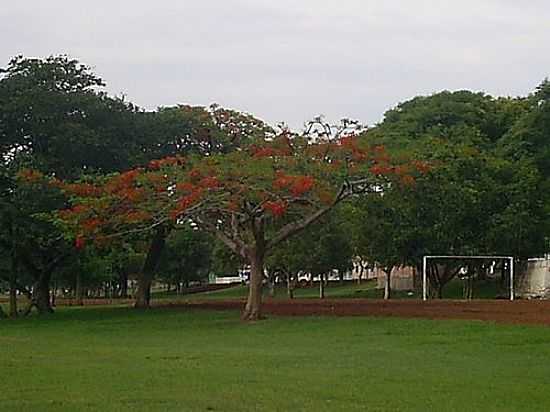 VISTA DA QUADRA DE AREIA DE SALTO GRANDE-SP-FOTO:WHELIGHTON - SALTO GRANDE - SP