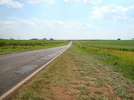 SANTA ADLIA-SP-CHEGANDO NO TREVO DE ACESSO-FOTO:UMBERTO MORENO - SANTA ADLIA - SP