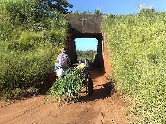 SANTA ADLIA-SP-PASSAGEM DE NVEL-FOTO:AMAURI JOS GRANZOTTO - SANTA ADLIA - SP