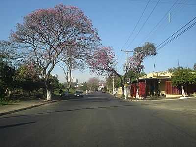 AVENIDA DA SAUDADE-FOTO:SABAINI  - SANTA BRBARA D'OESTE - SP