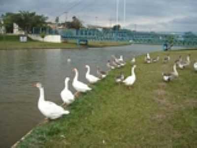  	
PARQUE DO ARAARIGUAMA - SANTA BRBARA D'OESTE - SP