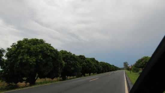 ESTRADA QUE LIGA STA F DO SUL  STA CLARA DOESTE, POR PAULO AFONSO GIL - SANTA CLARA D'OESTE - SP