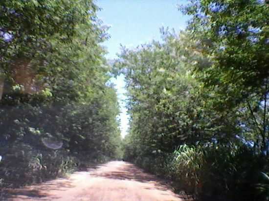 ESTRADAS RURAIS, POR FRANCISCO JOO SOARES - SANTA CRUZ DA CONCEIO - SP