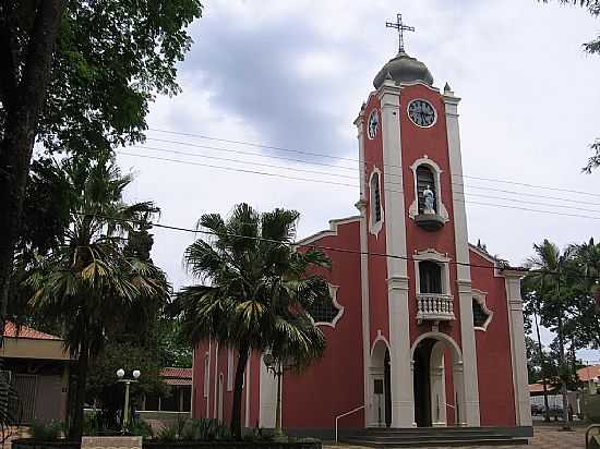 SANTA CRUZ DA CONCEIO-SP-MATRIZ DA IMACULADA CONCEIO-FOTO:S VICK - SANTA CRUZ DA CONCEIO - SP