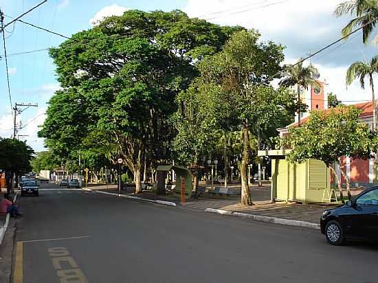 SANTA CRUZ DA CONCEIO-SP-RUA JORGE TIBIRI-FOTO:EDSON REIS  - SANTA CRUZ DA CONCEIO - SP